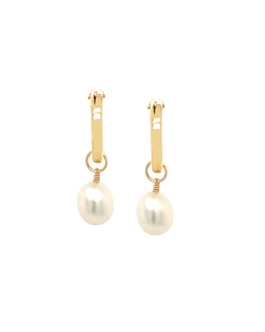 Gold freshwater pearl earring charm on gold fill hoops 