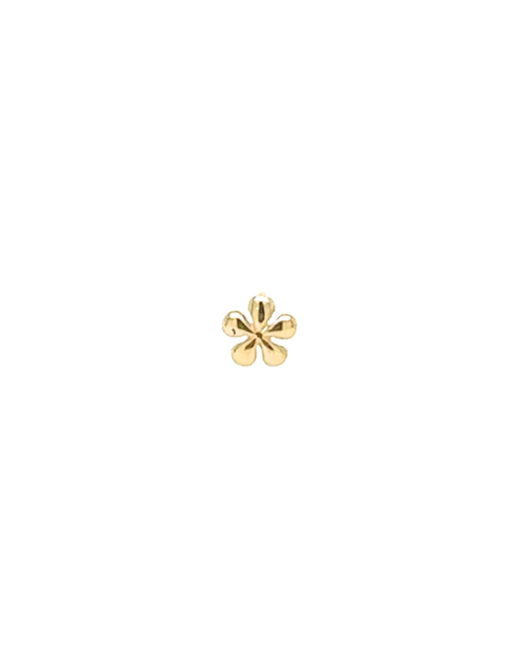 14k solid gold yellow flower flour blossom stud earrings with butterfly backing 